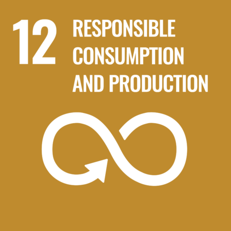 Sustainable-development-goal-12