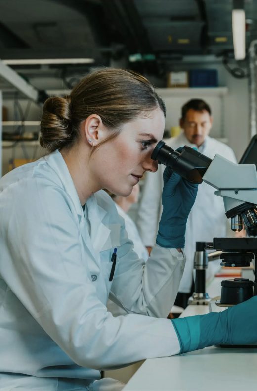 Application Go Small heller