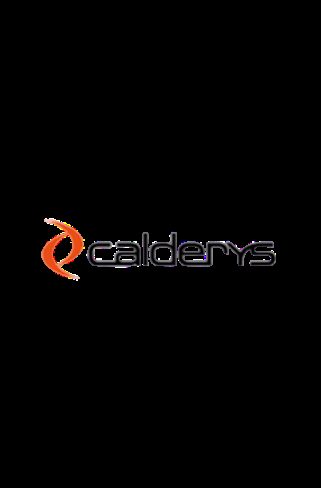 Caldery1